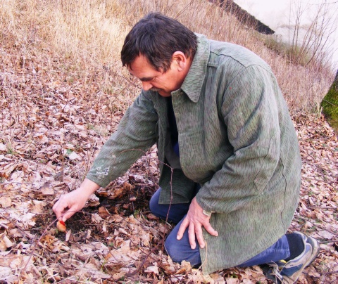 jožko Pavlík - SADE