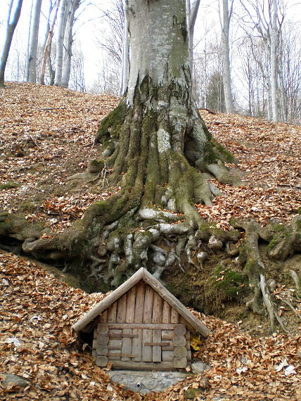 studnička v lese