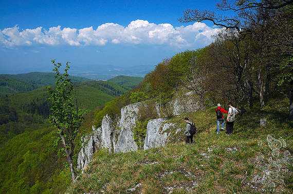 dubnická tridsiatka 2008