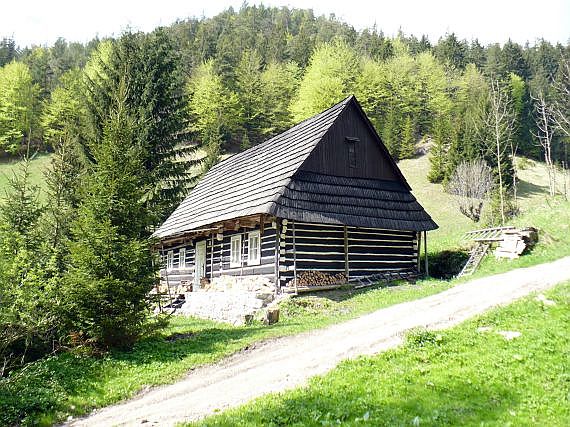 prašnica