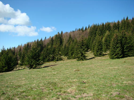 hrubý vrch