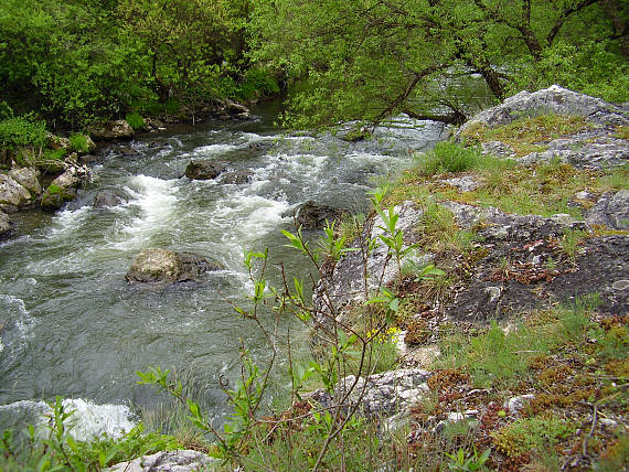 hornád nad Olcnavou