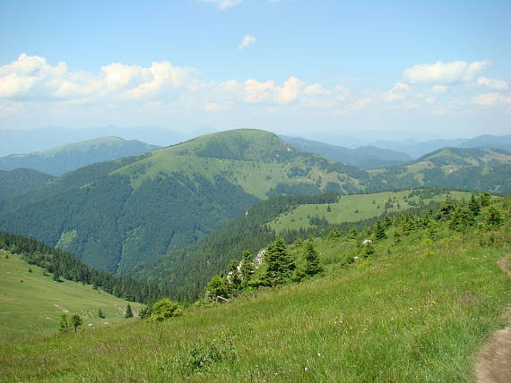 borišov