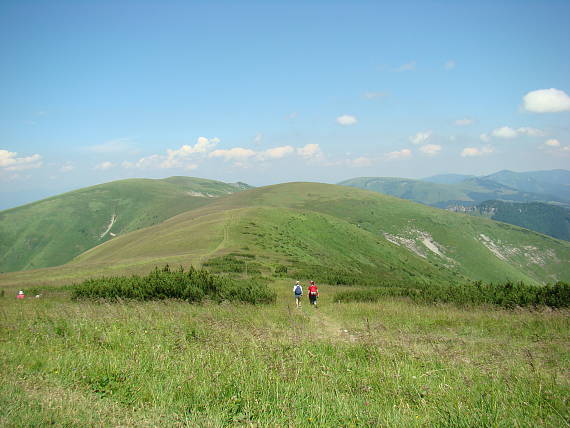 z Krížnej na Ostredok, najvyšší vrch Veľkej Fatry /1592 n.m.v./