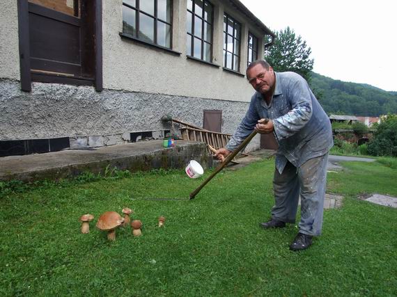 hríb dubový Boletus reticulatus