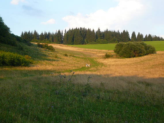 teplý podvečer nad Kalamenami - z túry na Liptovský hrad