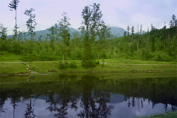 jazierko v Tatranskej Lomnici