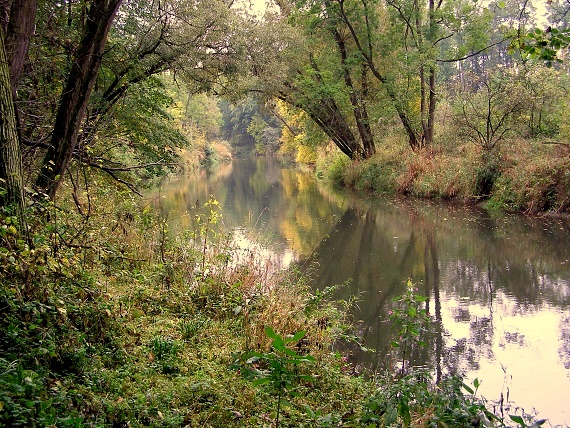 podzim na řece