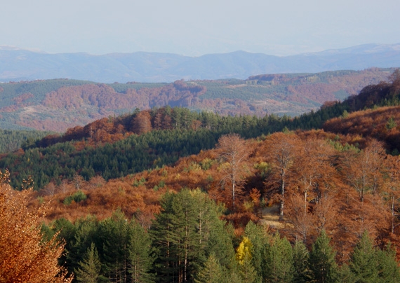 osogovo - útulná hora