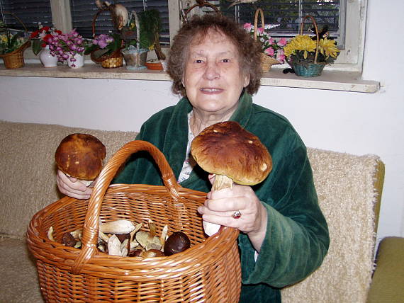 hríb smrekový Boletus edulis Bull.