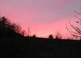 ružový súmrak na ceste z lesa