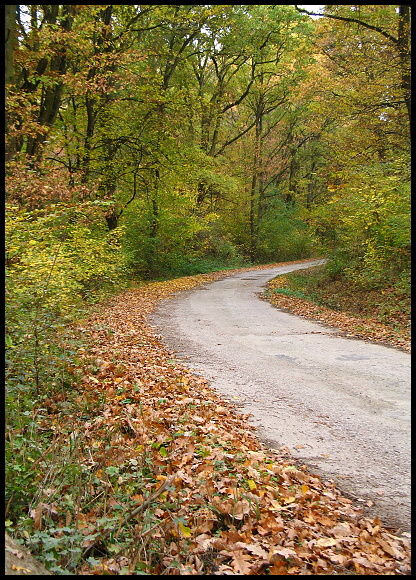 jelenec na Jeseň .