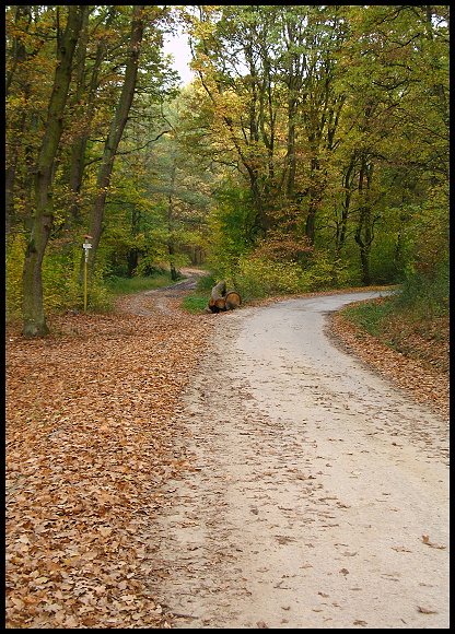 vlavo či vpravo? :)  .