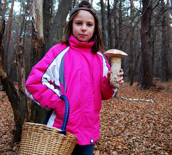 hríb smrekový Boletus edulis