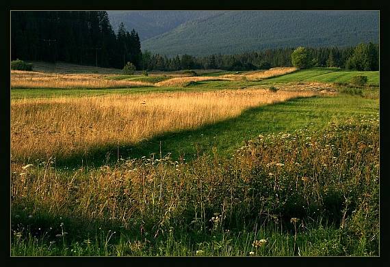 oravské polia