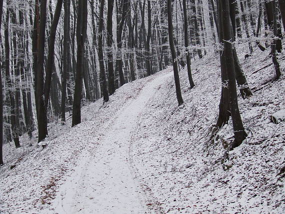 ...cestou na Kapušanský hrad