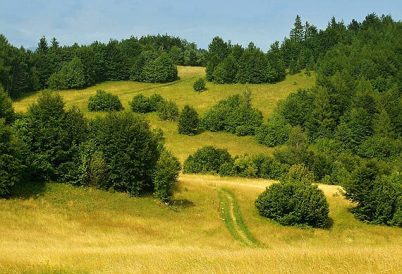 letné lúky - Dedkovo