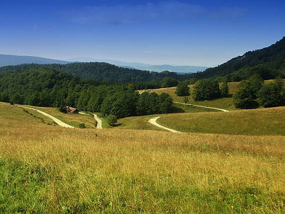 lúky na Kráľovej studni