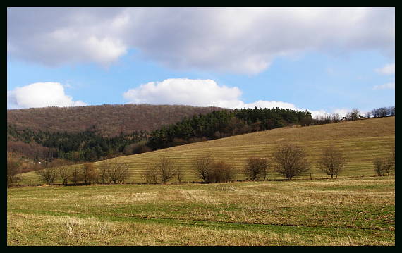 medzihorie, cestou na Kýšky