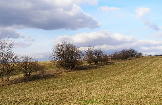 stráň pod ostrým vrchom