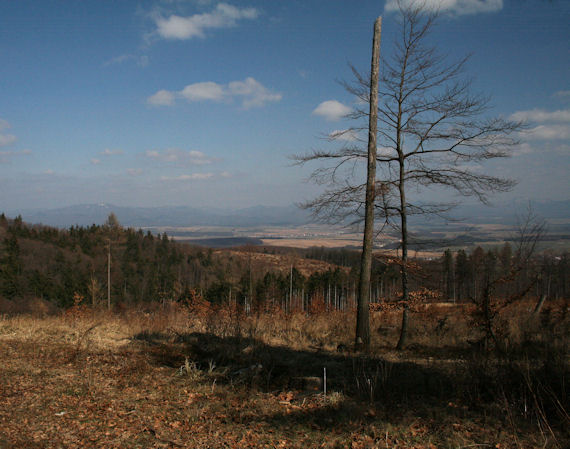 strážovské vrchy spod Inovca