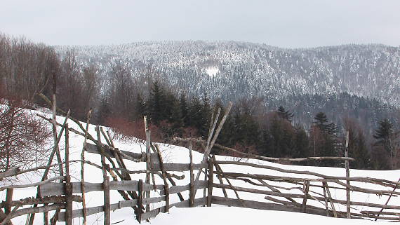 zima na Kržli