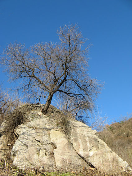 bratislava, pod hradným vrchom Natura