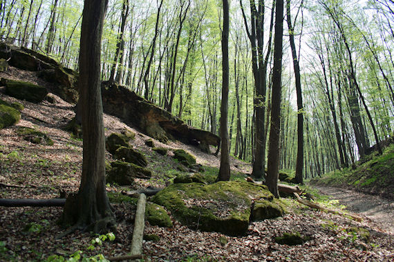 skalnaté útvary nad Pustou Vsou