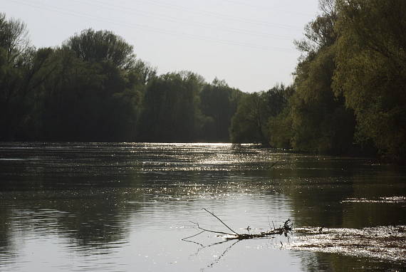 bratislava rameno Dunaja (Karlova Ves)