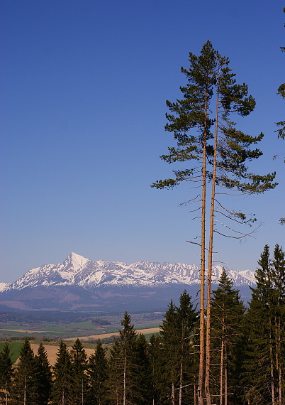 tatry