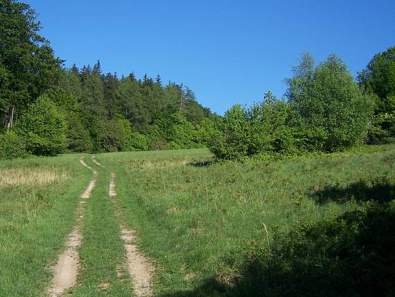 jARNÁ PRÍRODA NAD PERNEKOM