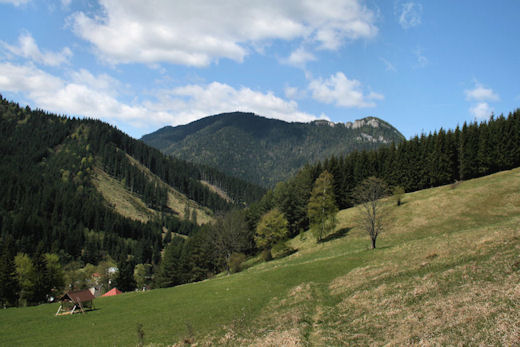 radovica - alebo Hradište