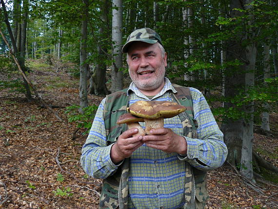 hríb sosnový Boletus pinophilus Pil. et Dermek in Pil.