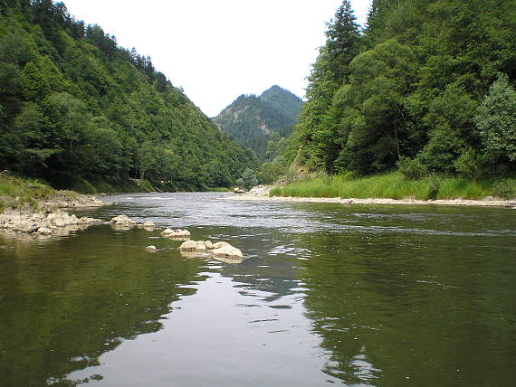 pieniny