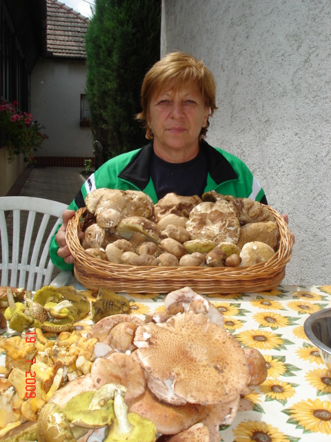 nedeľnajšia nádielka