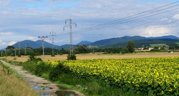 ilavská kotlina (v pozadí Strážov)