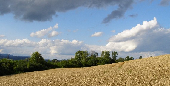 ilavská kotlina