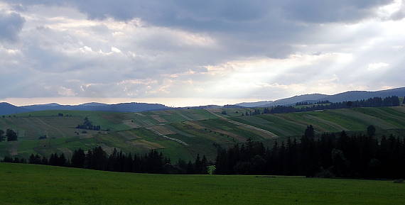 polička nad Or. Veselým