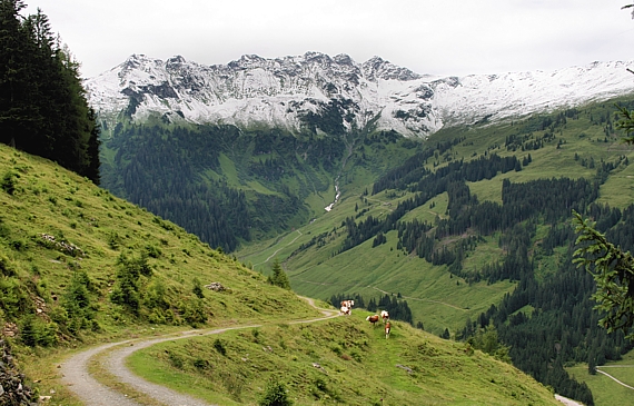 alpbachtal - údolie