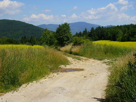 idylka pri Niznej Slanej