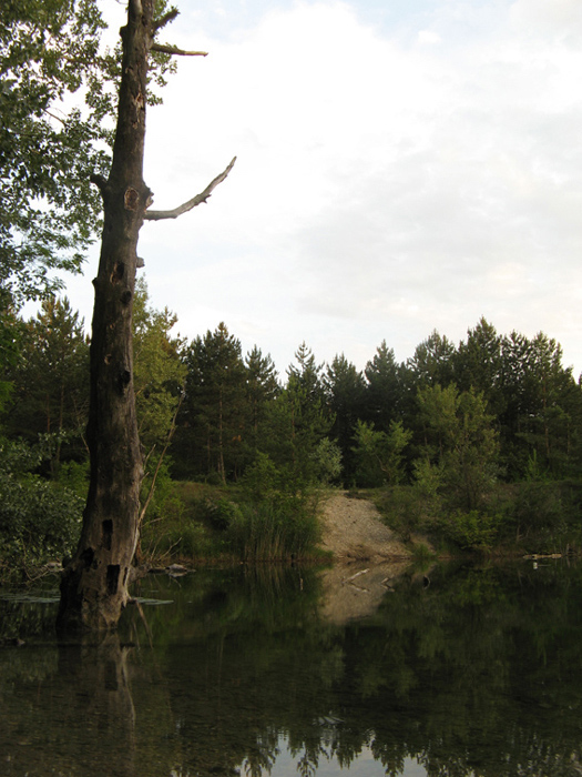 ostrov Kopáč Natura