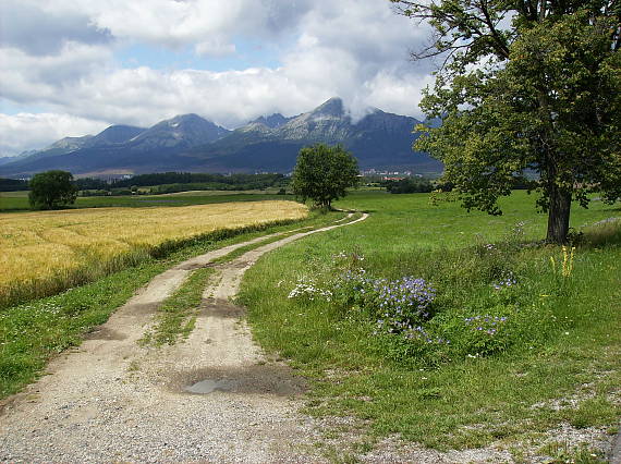 panorama Tatier od Velkeho Slavkova