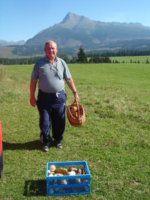 hríb smrekový Boletus edulis Bull. ex Fr.