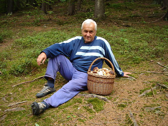 hríb smrekový Boletus edulis Bull. ex Fr.