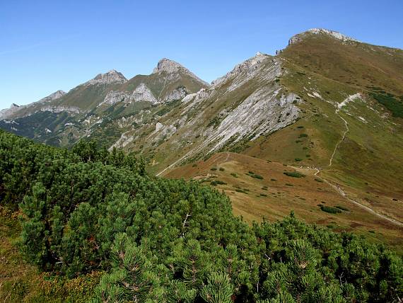 HAVRAN, ŽDIARSKA VIDLA