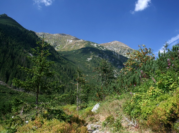 v Račkovej doline