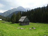 v doline Chocholowska/Zakopane/