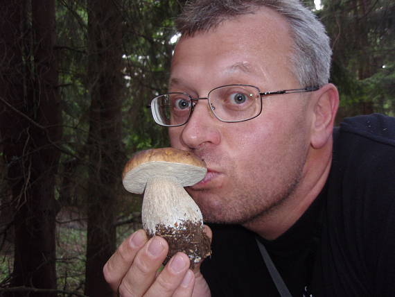 hríb smrekový Boletus edulis Bull. ex Fr.