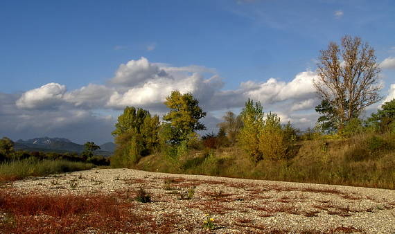 v koryte Váhu,v pozadi ,VRŠATEC.