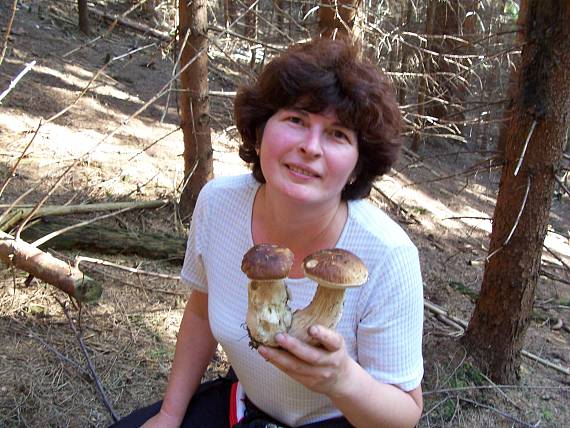 hríb smrekový Boletus edulis Bull. ex Fr.